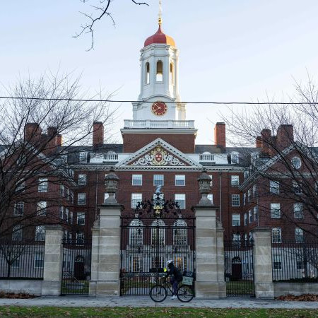 Harvard University